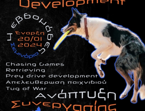 Ανάπτυξη συνεργασίας & Play development